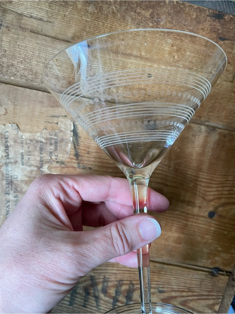 NWT Crate&Barrel Bianca Etched Martini Glasses - Set of 4